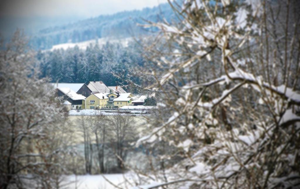 Hotel Der Seehof Hauzenberg Bagian luar foto